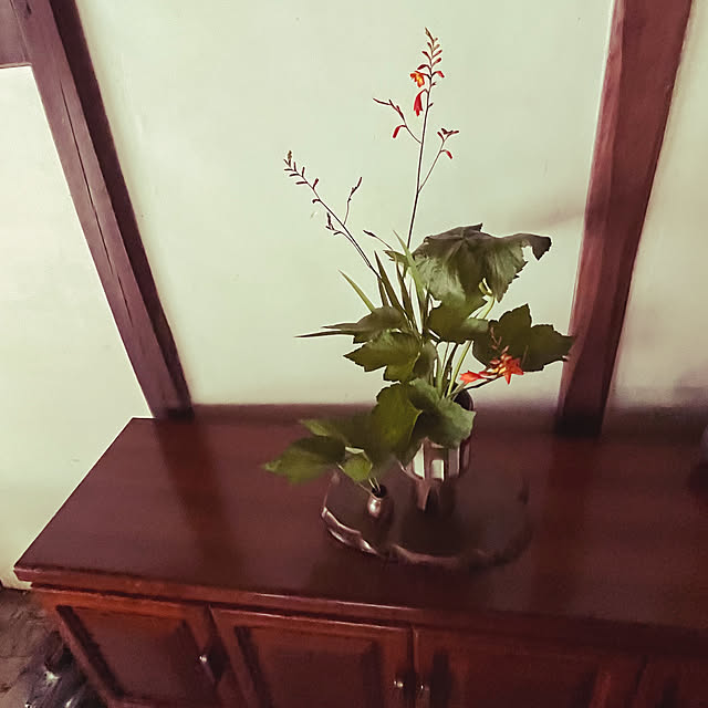 cota2さんの部屋
