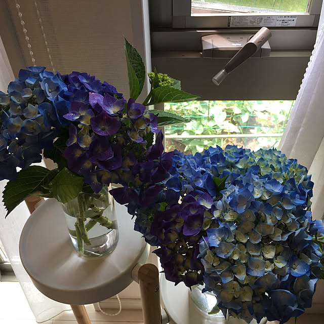 kojimasaさんの部屋