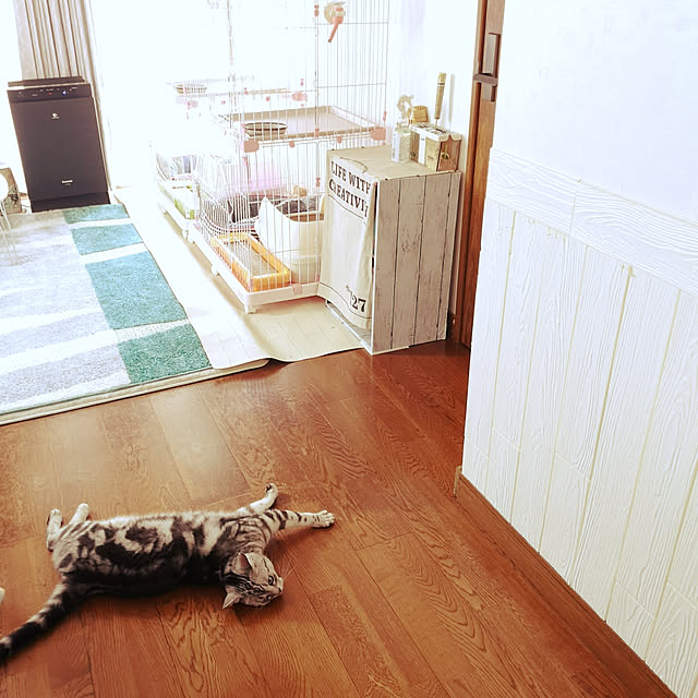kumingさんの実例写真