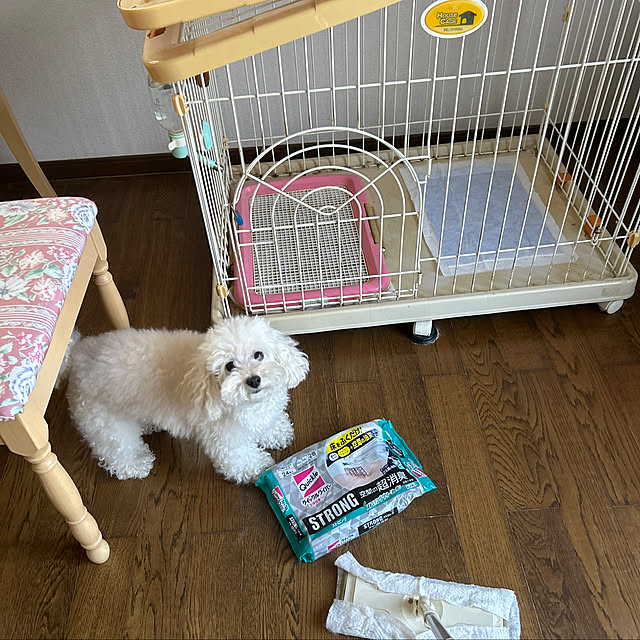 norikorinさんの実例写真