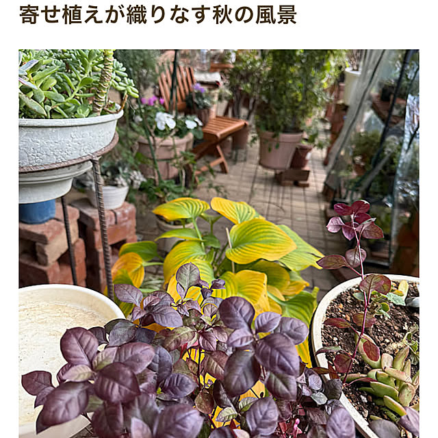 Aqettyさんの部屋