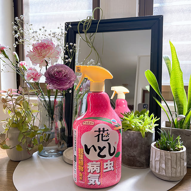 y.frvr.ks-lvyuiさんの部屋