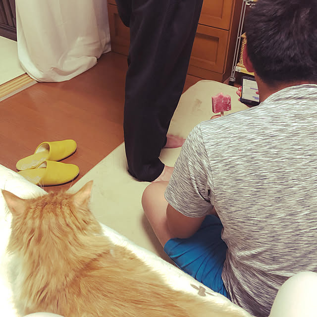 uchidaizuさんの実例写真