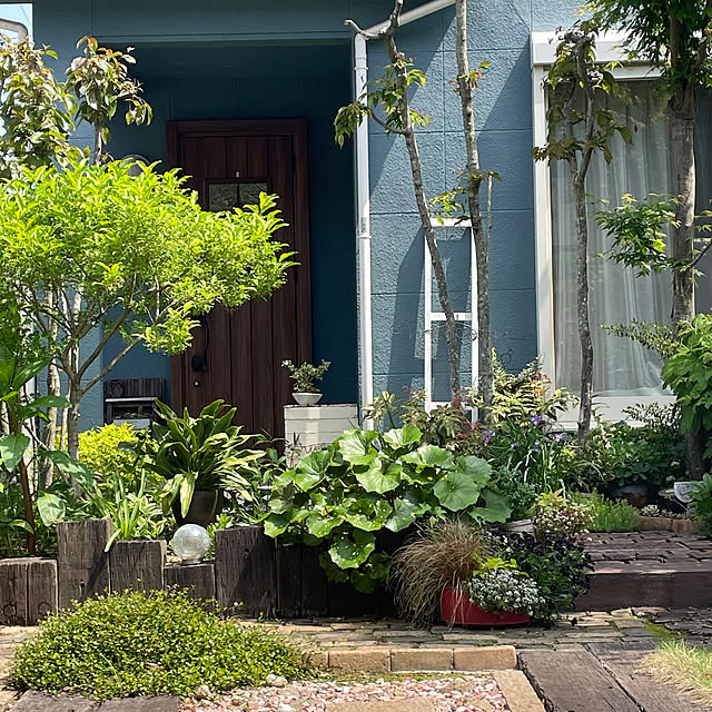 nobikoさんの実例写真