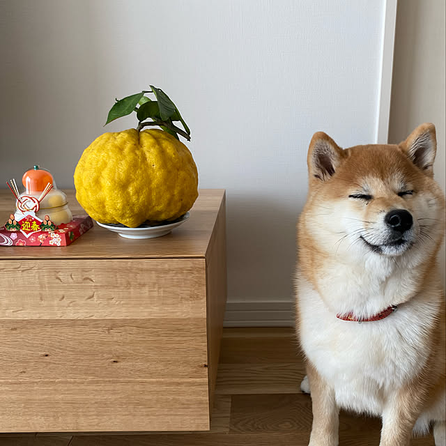 yukariさんの実例写真
