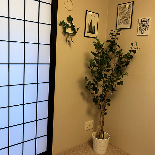 maconosukeさんの実例写真