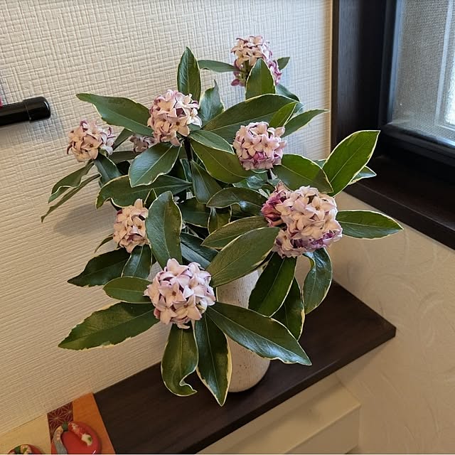 ku-garnet18さんの部屋