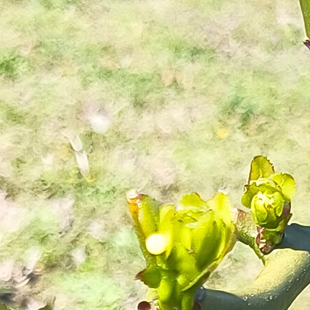 Rubiconさんの部屋