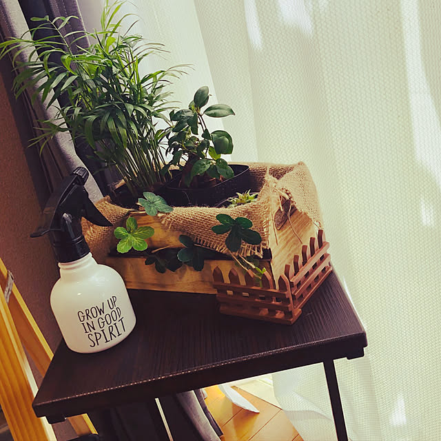 DIY/カフェ風/100均/観葉植物/ダイソー...などのインテリア実例 - 2019-07-26 13:04:34