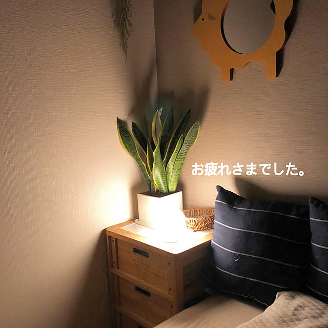 実例写真