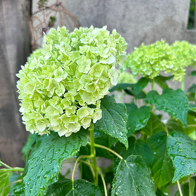 kさんの実例写真