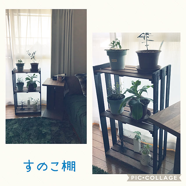 11235さんの実例写真