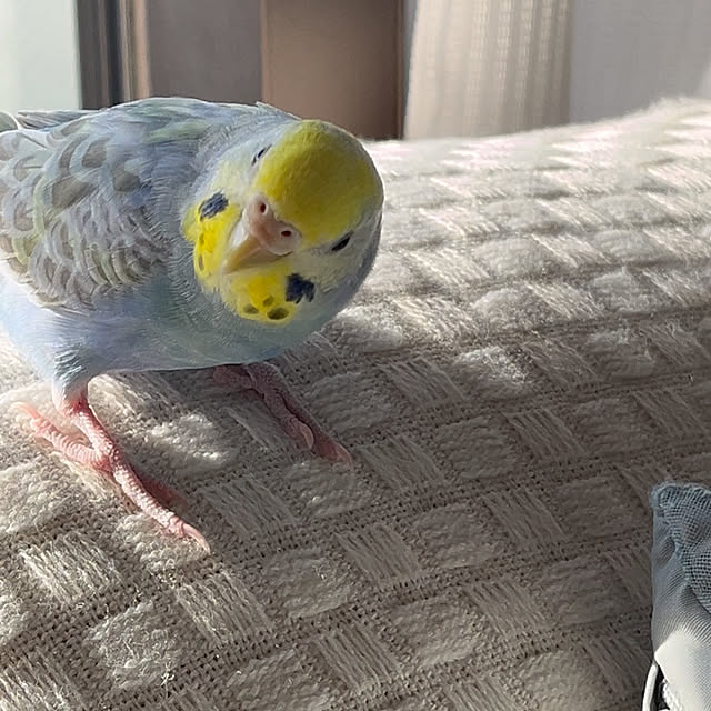 Atsukoさんの部屋