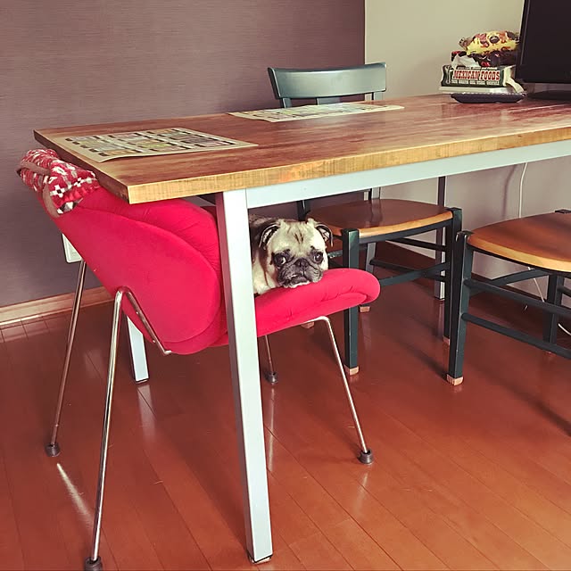kellyさんの実例写真
