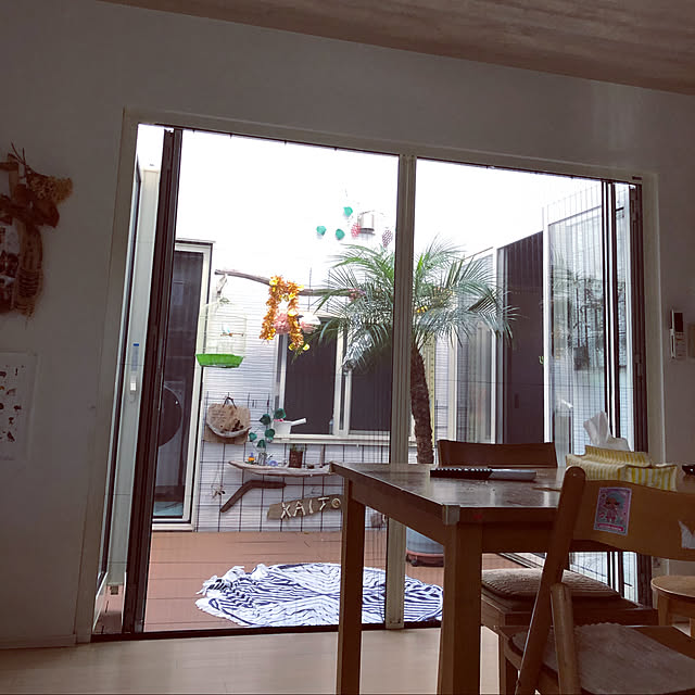 Yukoさんの実例写真