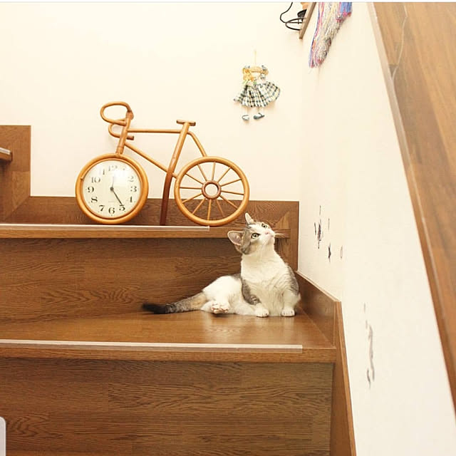kotowakaさんの実例写真