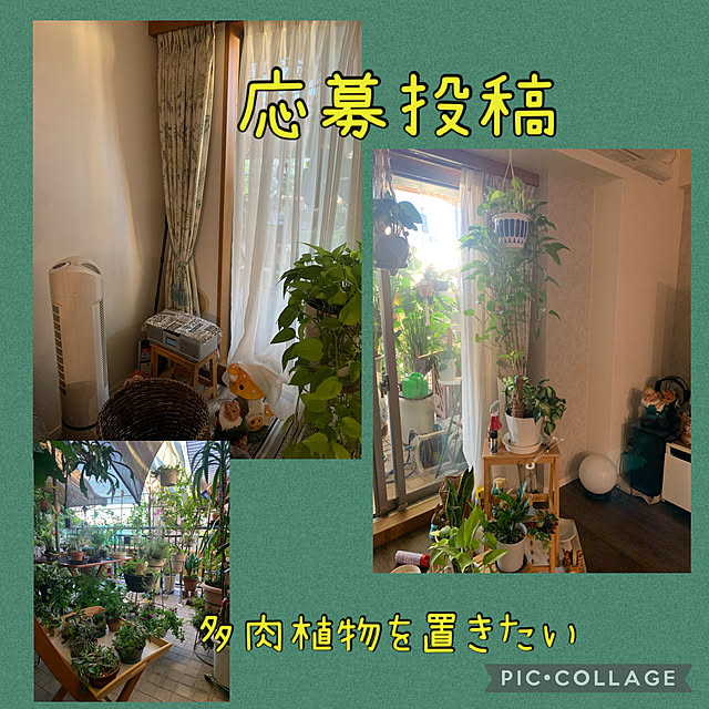 Aqettyさんの実例写真