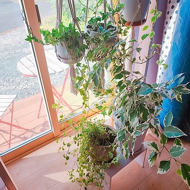 saさんの部屋