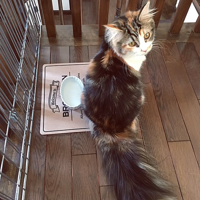rukaさんの実例写真