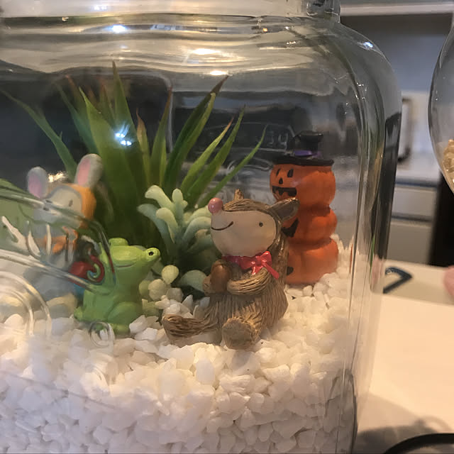 実例写真