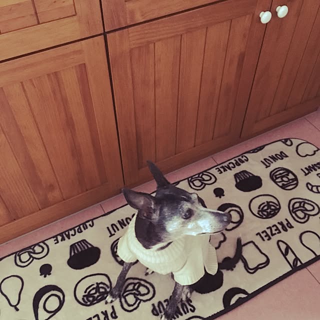 70さんの実例写真