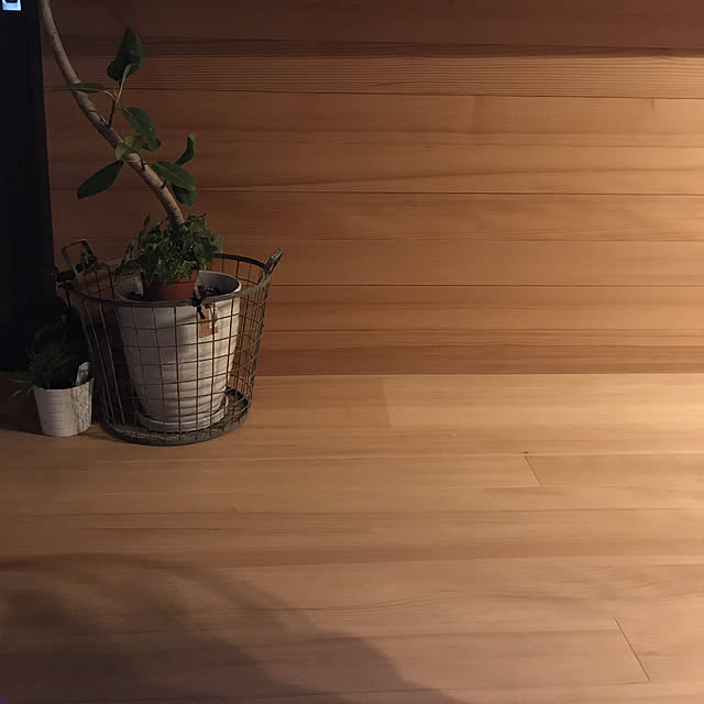 Ayaさんの実例写真