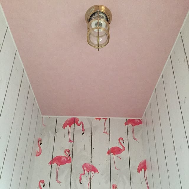 kosoさんの実例写真