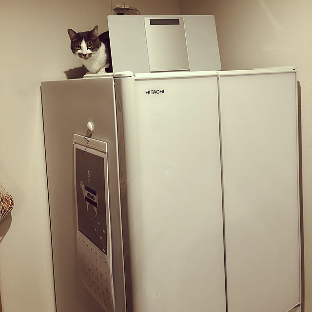 Mentanさんの実例写真