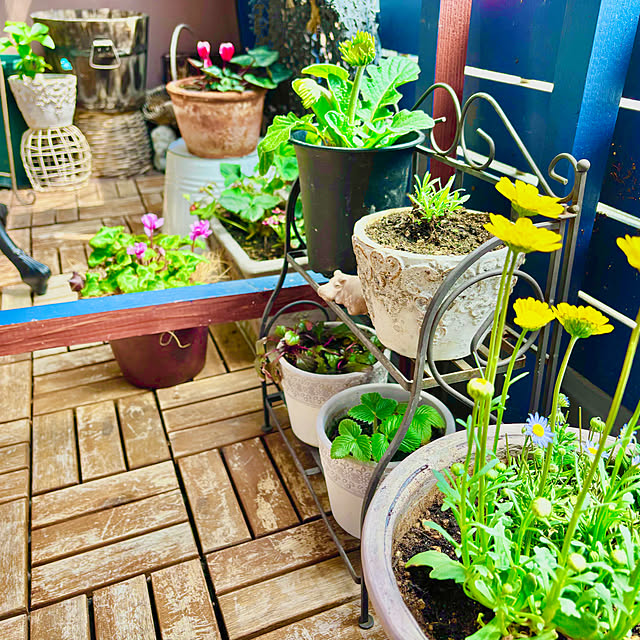 naokoさんの部屋