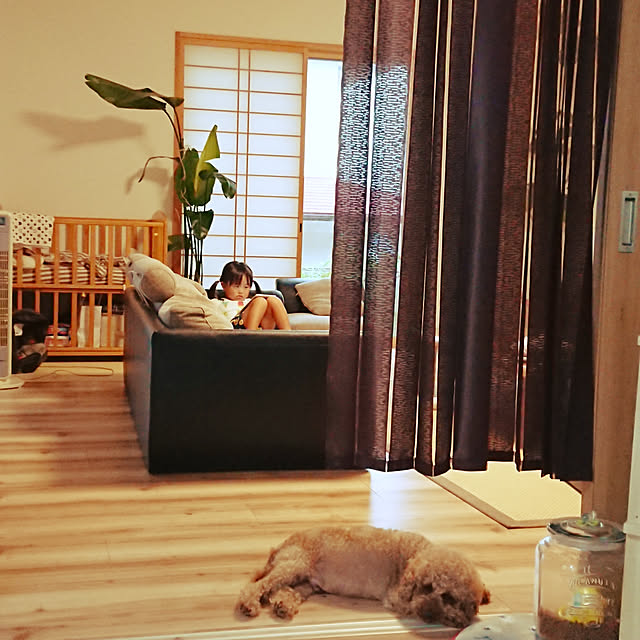 kotaroさんの実例写真