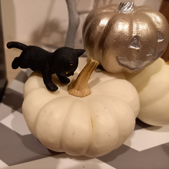 naomiさんの実例写真