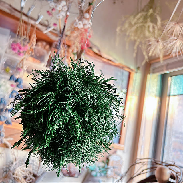 portulacaさんの実例写真