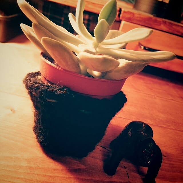 su--さんの実例写真