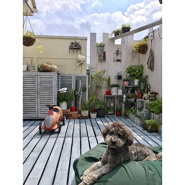 makoriさんの実例写真