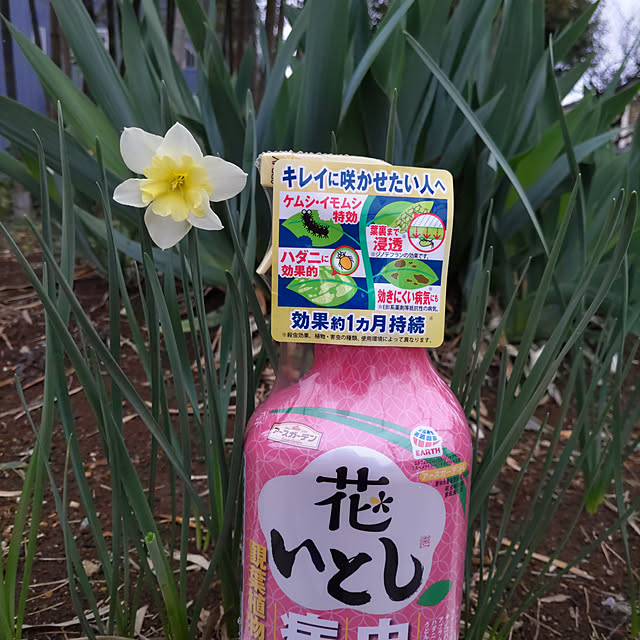 houenさんの部屋