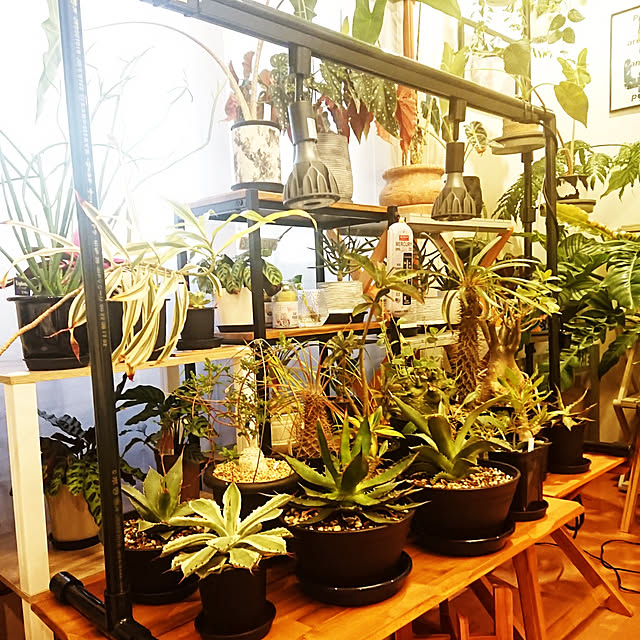 ot-gardenさんの実例写真