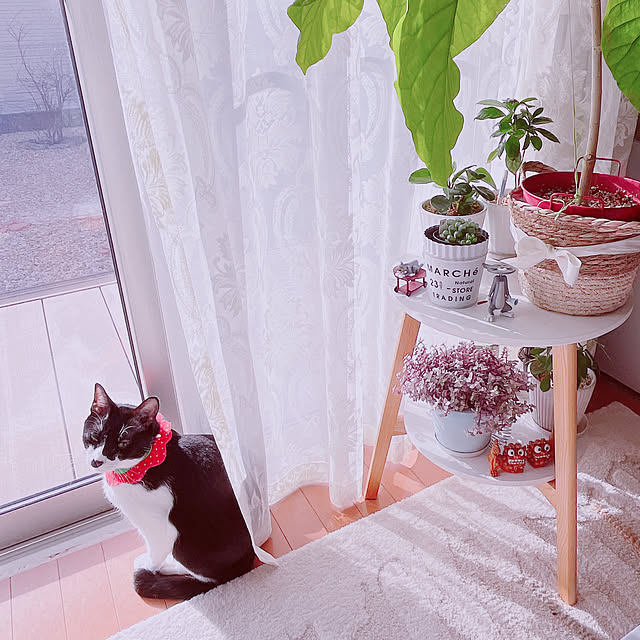 moolさんの部屋