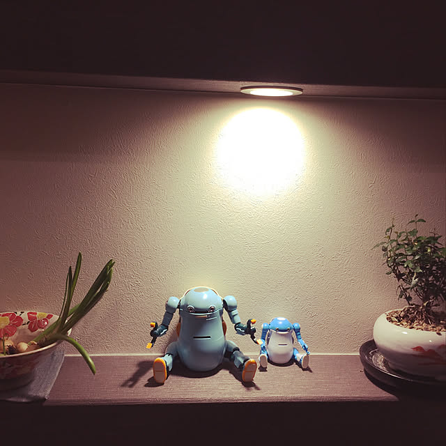 koroさんの実例写真