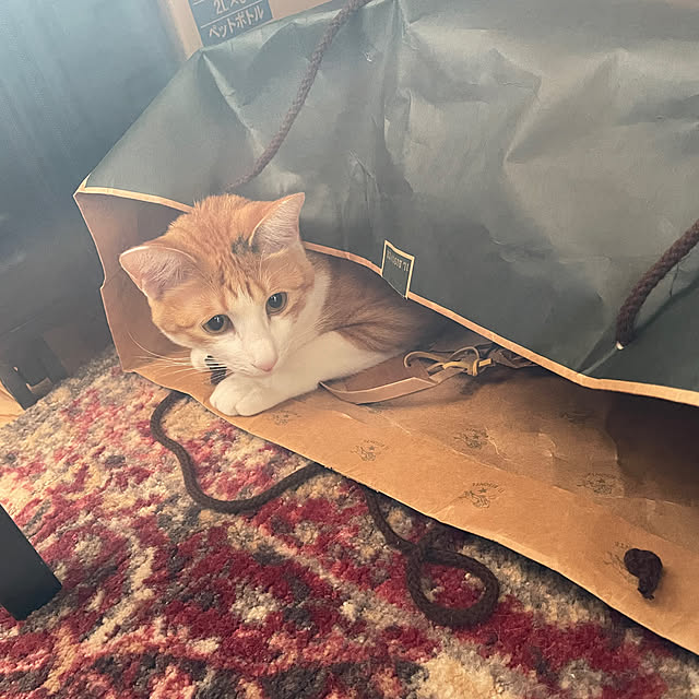 Aさんの部屋
