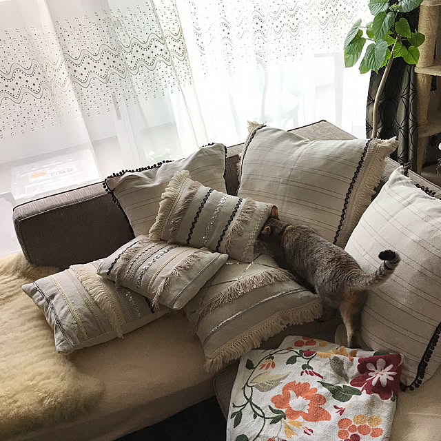 1633さんの実例写真