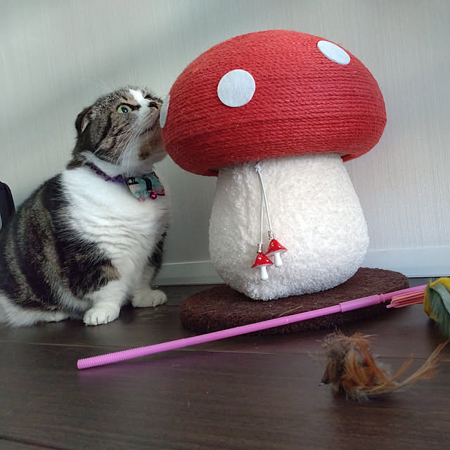 Cielさんの実例写真