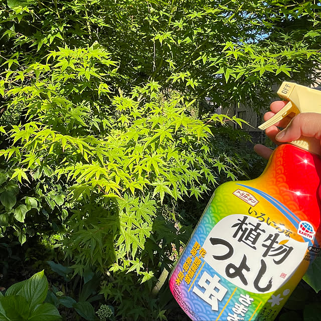 emiuraranさんの実例写真