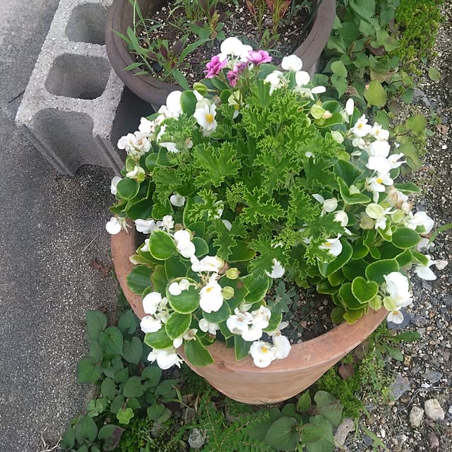Rieさんの部屋