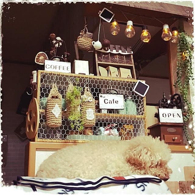 mapleさんの実例写真