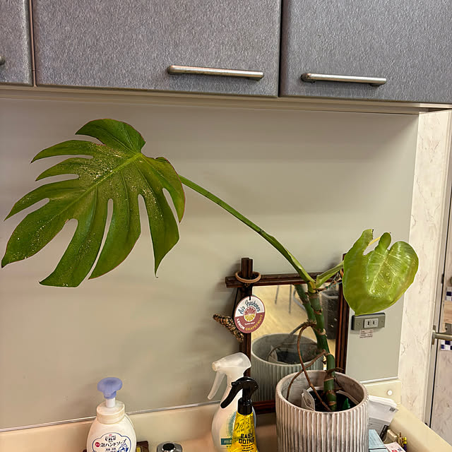 icietlaさんの実例写真