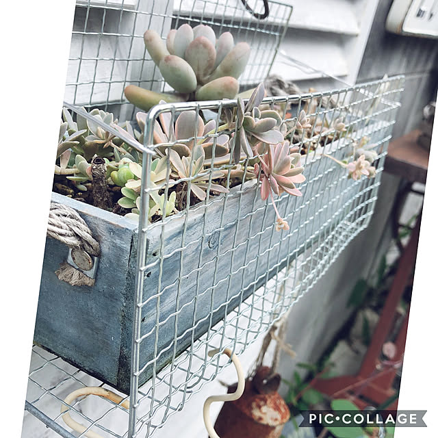 craneさんの実例写真
