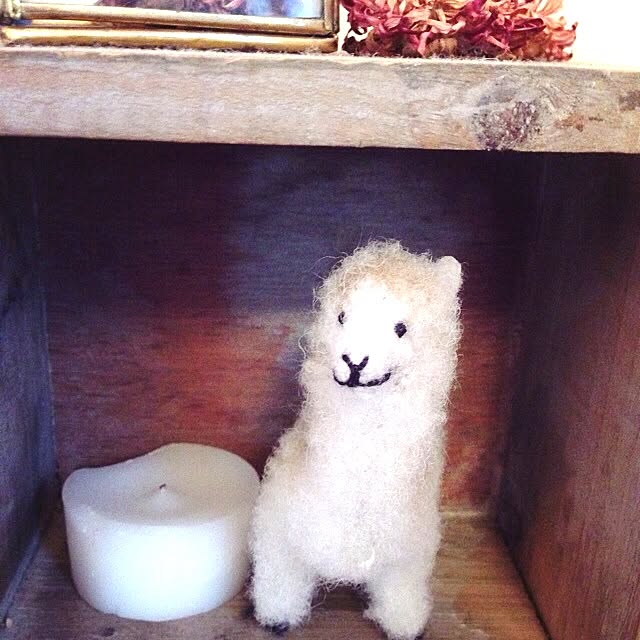 nochi_YTさんの実例写真