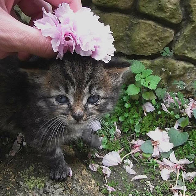 weさんの実例写真