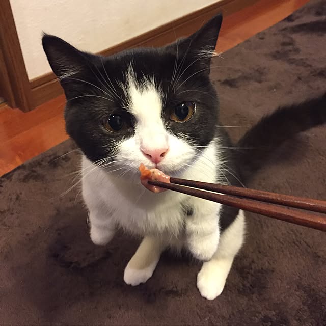 butachanさんの実例写真