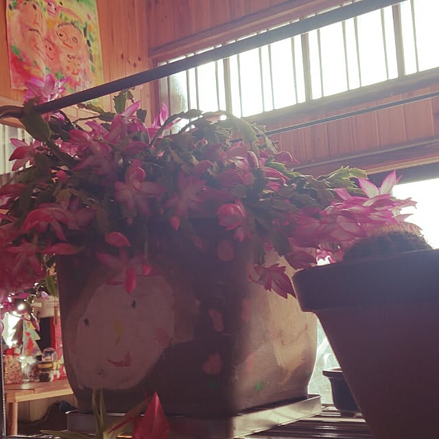 kikuさんの実例写真